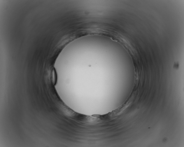X0000101400333200807071035