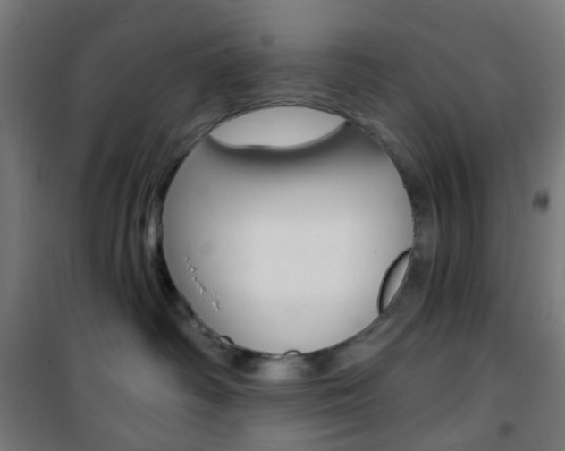 X0000101400334200807071035