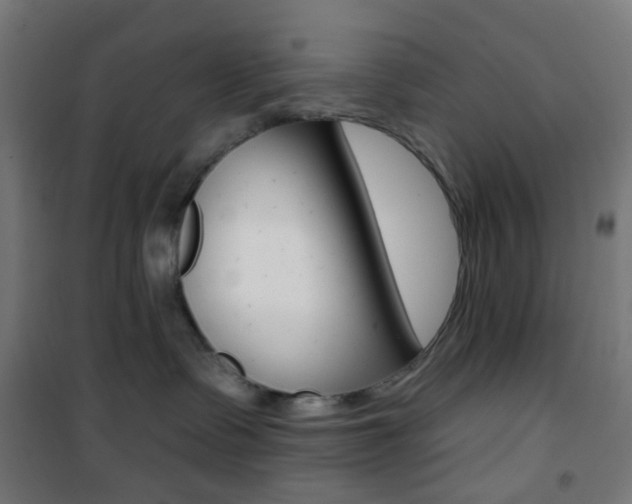 X0000101400335200807071035