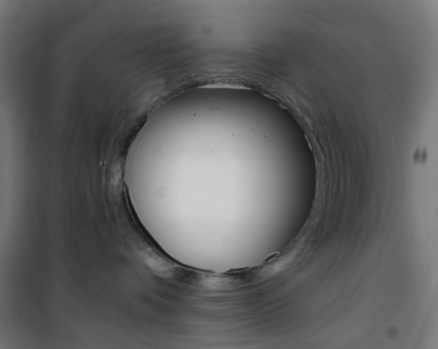 X0000101400336200807071035