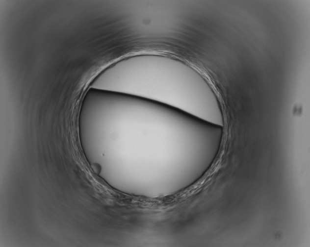 X0000101400337200807071035