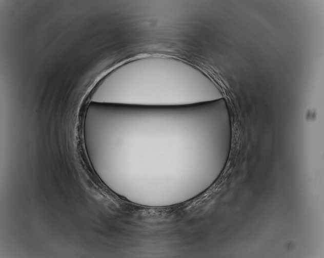 X0000101400338200807071035