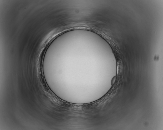 X0000101400339200807071035