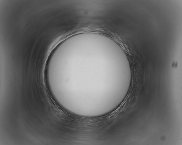 X0000101400340200807071035