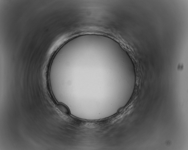 X0000101400341200807071035