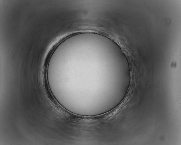 X0000101400342200807071035