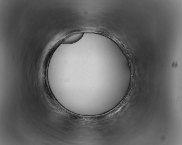X0000101400343200807071035