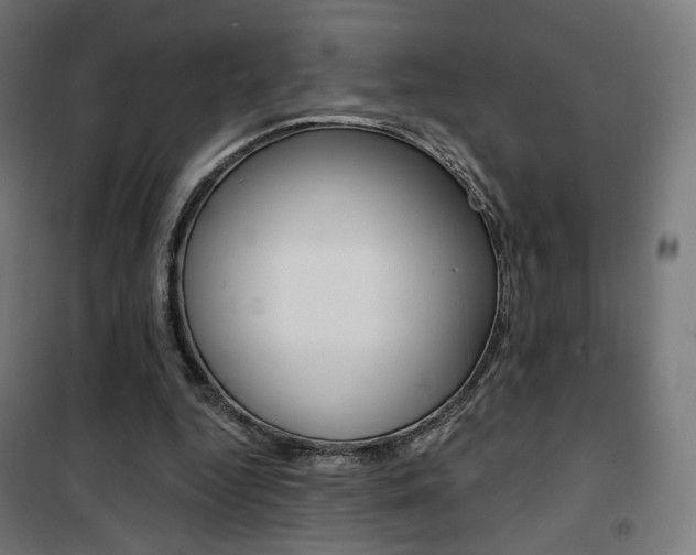 X0000101400344200807071035