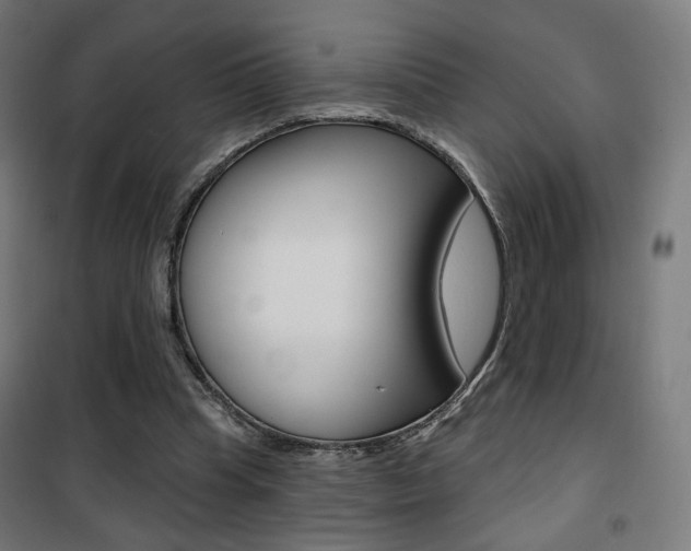 X0000101400345200807071035