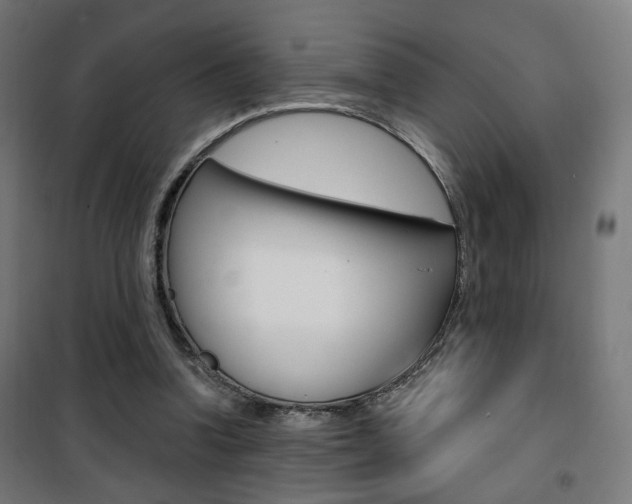 X0000101400346200807071035
