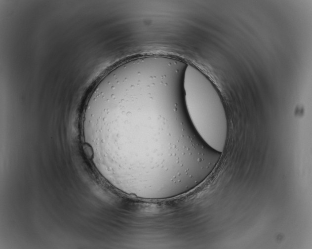 X0000101400347200807071035