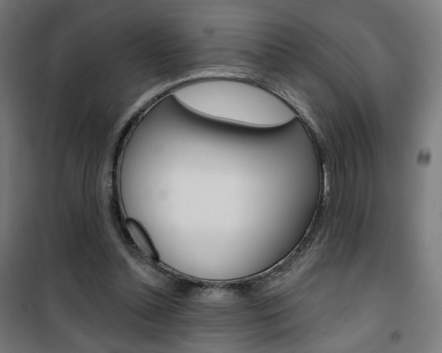 X0000101400348200807071035