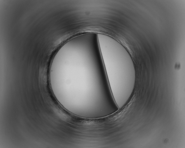 X0000101400349200807071035