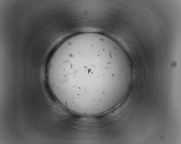 X0000101400351200807071035