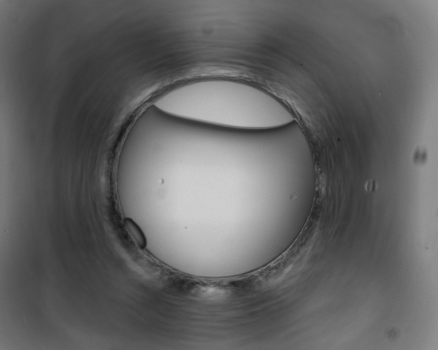 X0000101400352200807071035