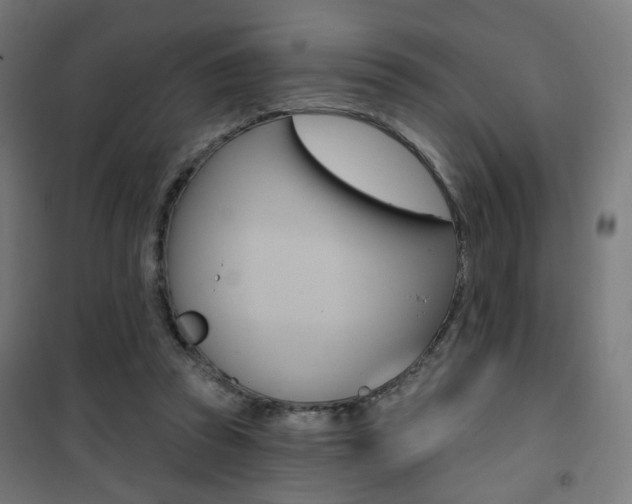 X0000101400353200807071035