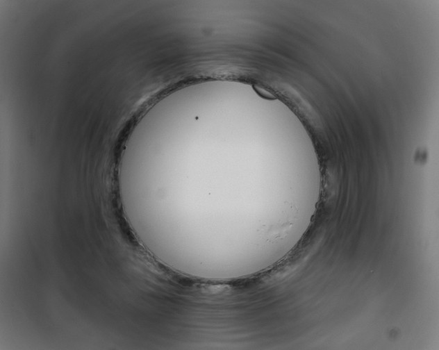 X0000101400355200807071035