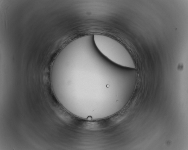 X0000101400361200807071035