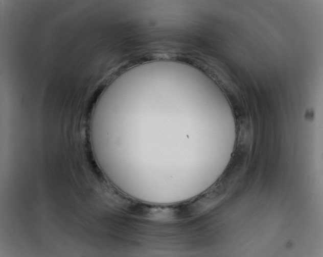 X0000101400363200807071035
