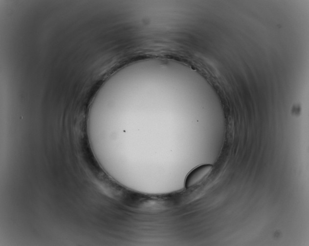 X0000101400364200807071035