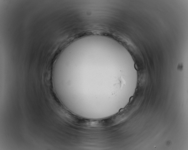 X0000101400365200807071035