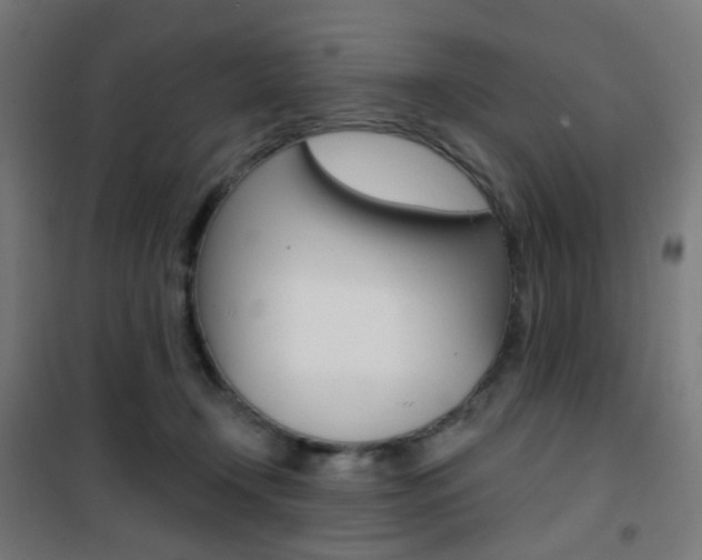 X0000101400366200807071035