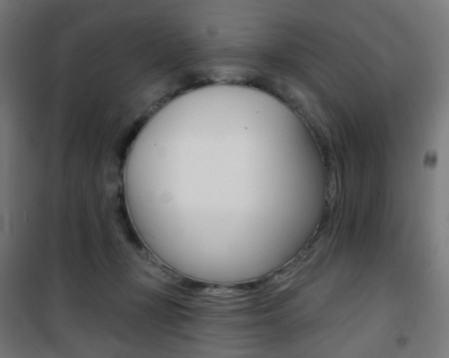 X0000101400367200807071035