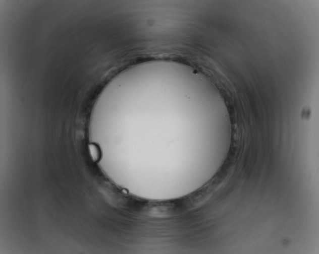 X0000101400368200807071035