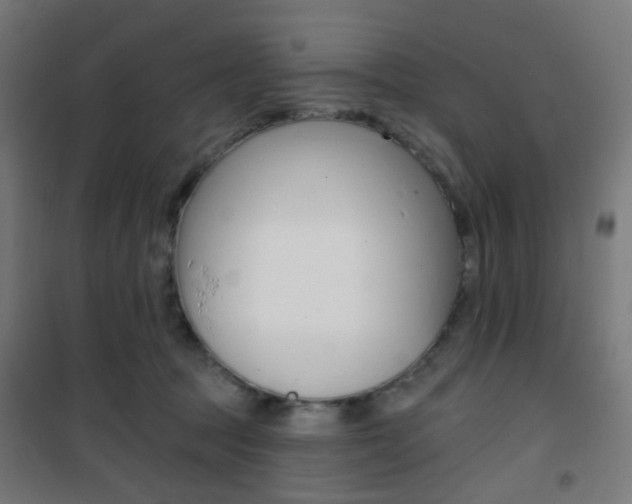 X0000101400369200807071035