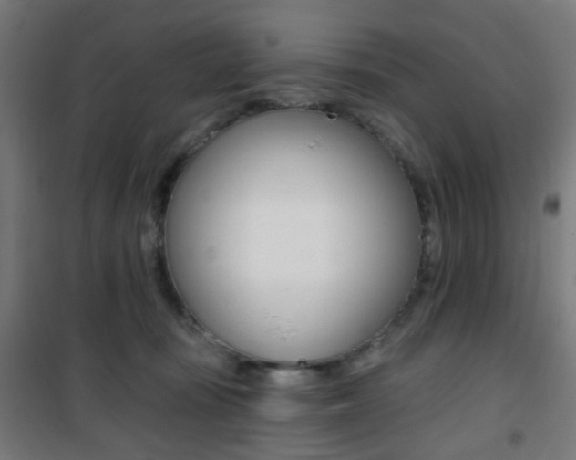 X0000101400371200807071035