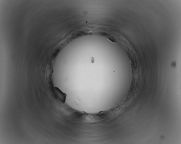 X0000101400372200807071035