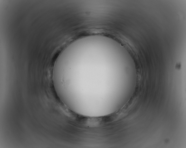 X0000101400373200807071035