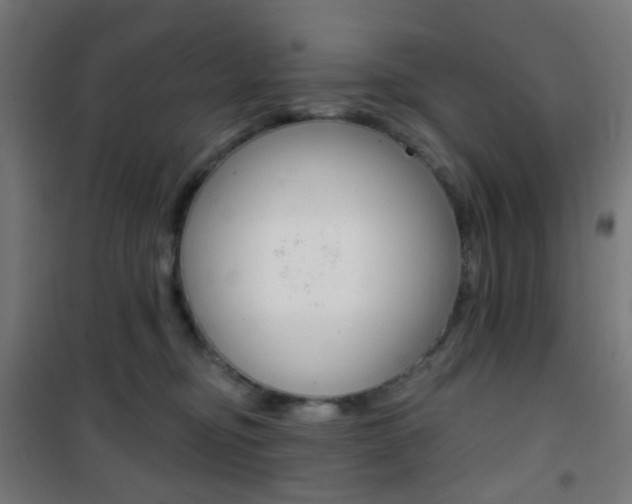 X0000101400374200807071035