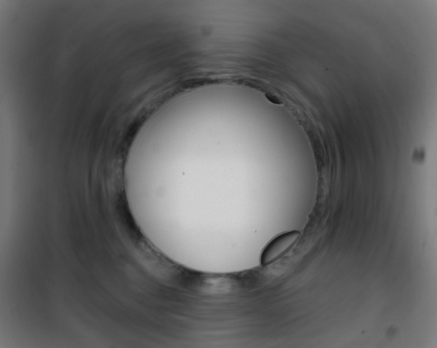 X0000101400376200807071035