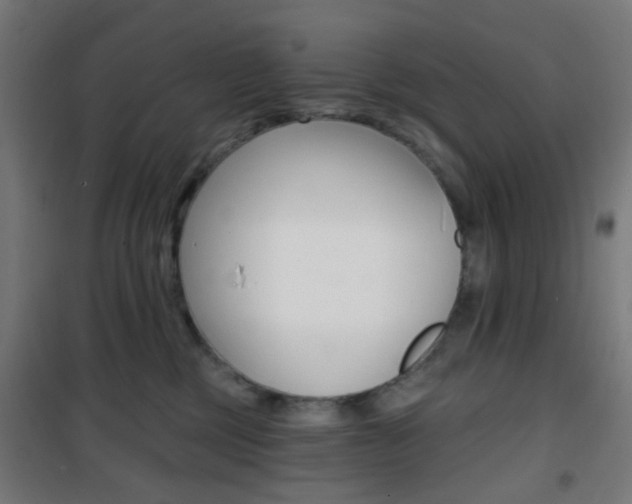 X0000101400377200807071035