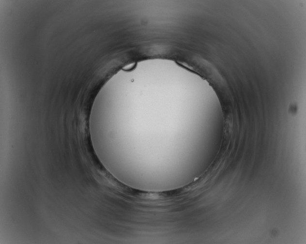X0000101400380200807071035