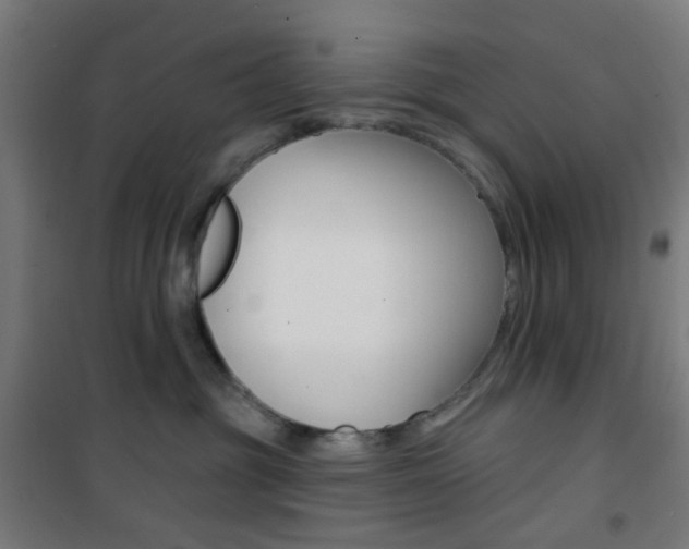 X0000101400381200807071035