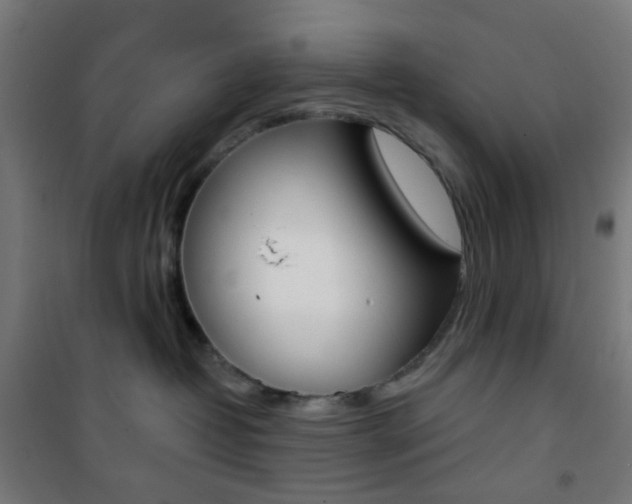 X0000101400382200807071035