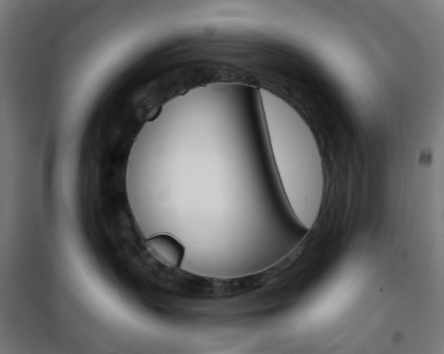 X0000101400383200807071035
