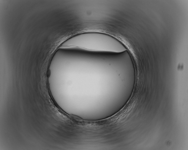 X0000101400385200807071035