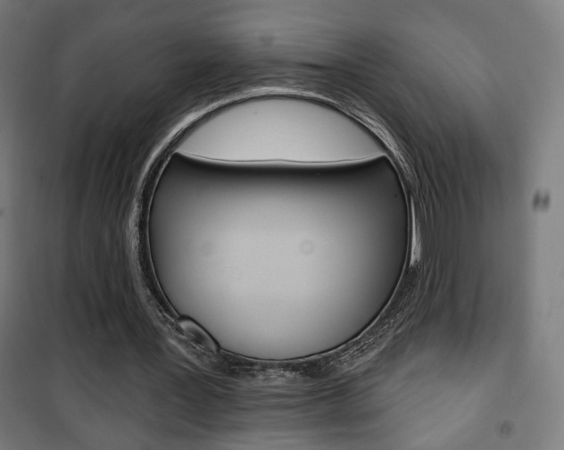 X0000101400387200807071035