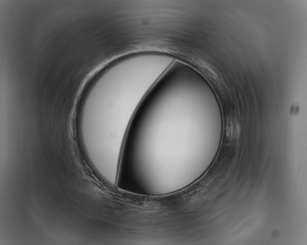 X0000101400388200807071035