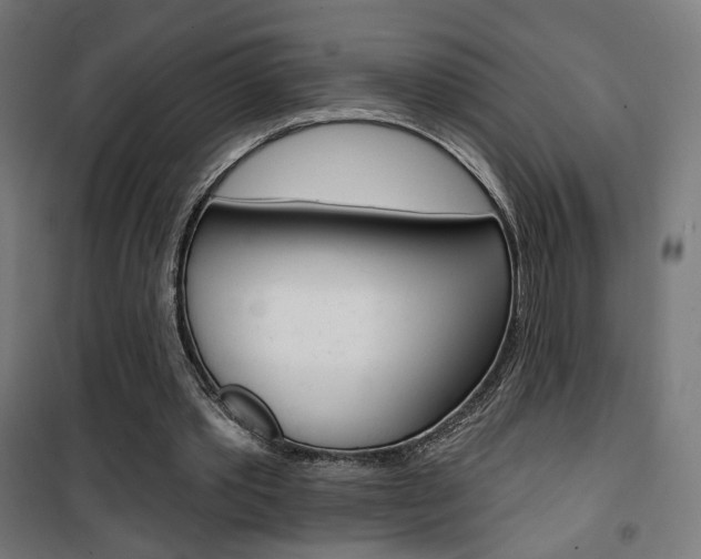 X0000101400389200807071035