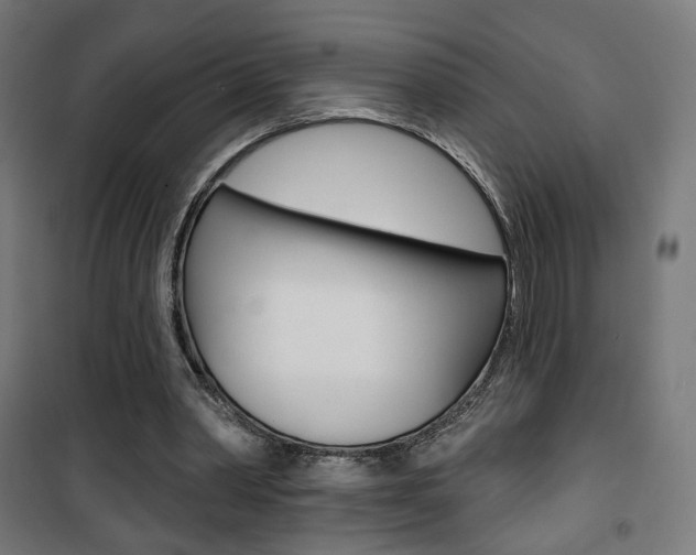 X0000101400390200807071035