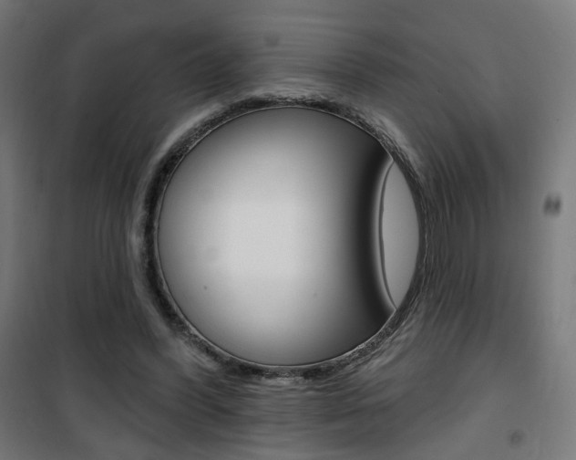 X0000101400396200807071034