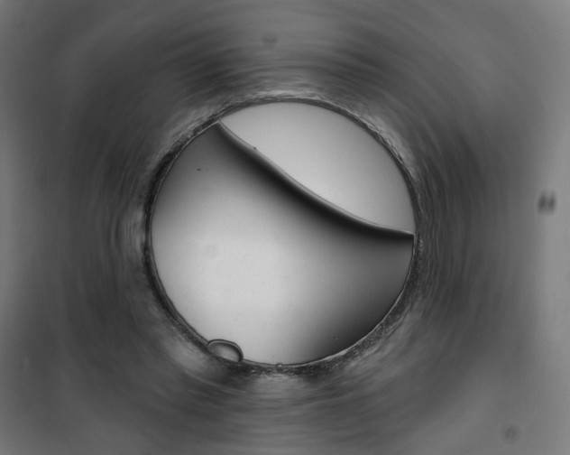X0000101400397200807071034