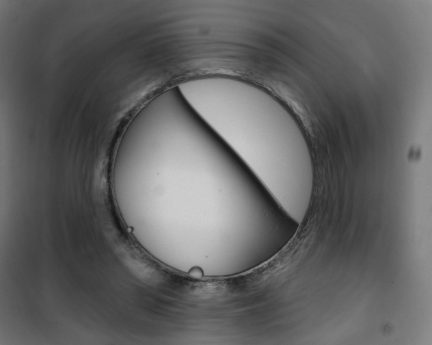 X0000101400398200807071034