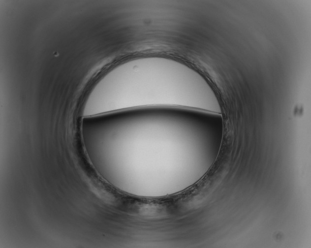 X0000101400400200807071034