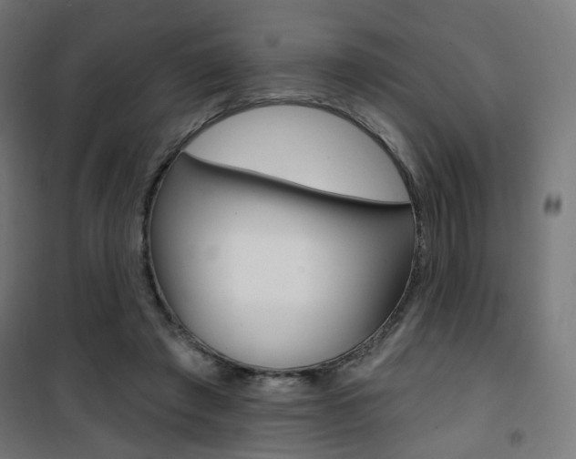 X0000101400401200807071034