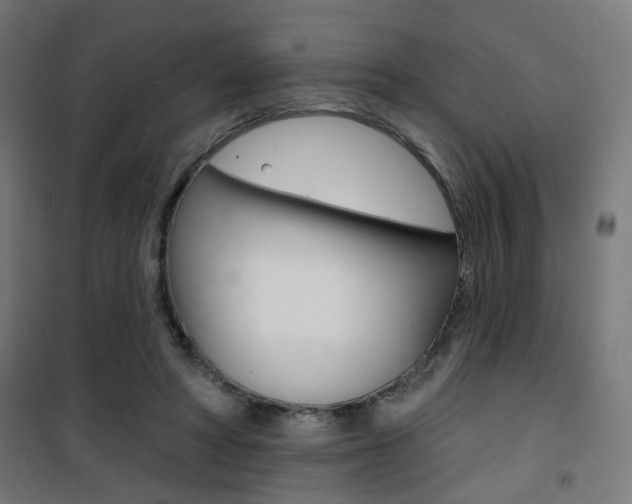 X0000101400402200807071034